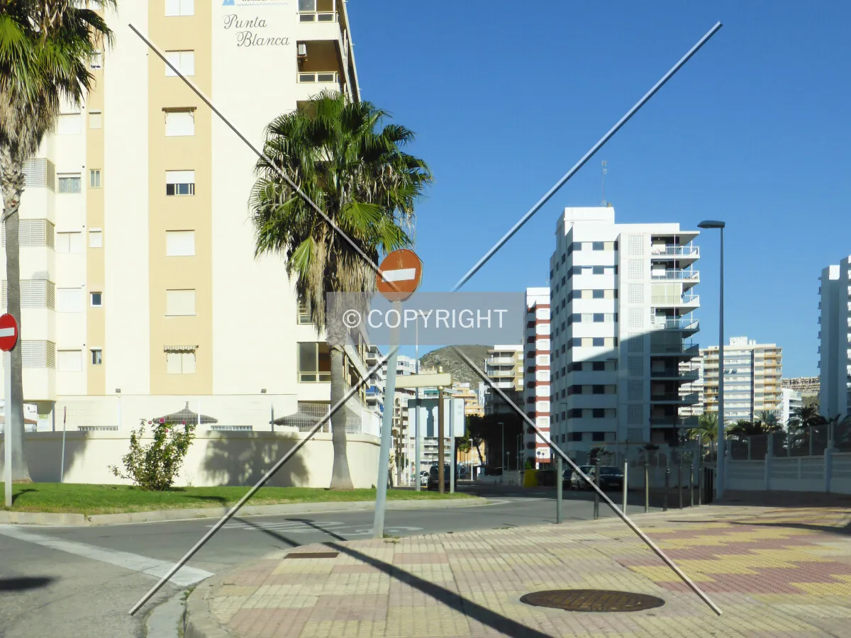 Photo 186-393-696