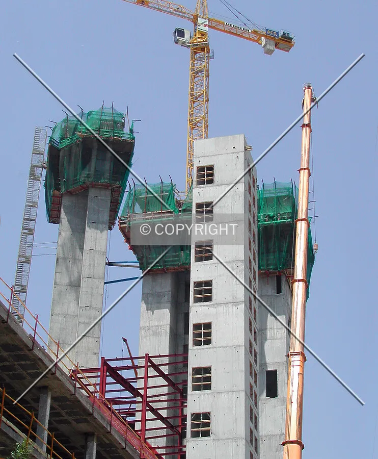 Top of some cores and yellow cranes