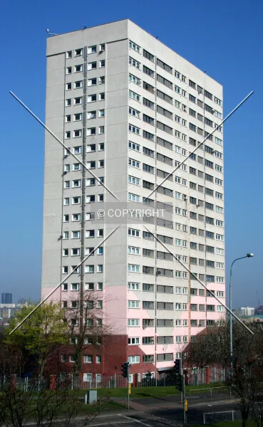 Photo 186-558-626