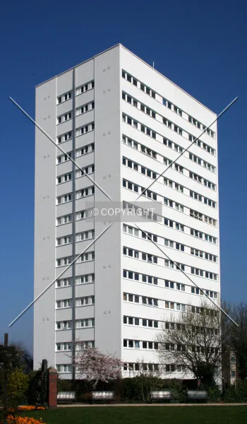 Photo 186-597-049
