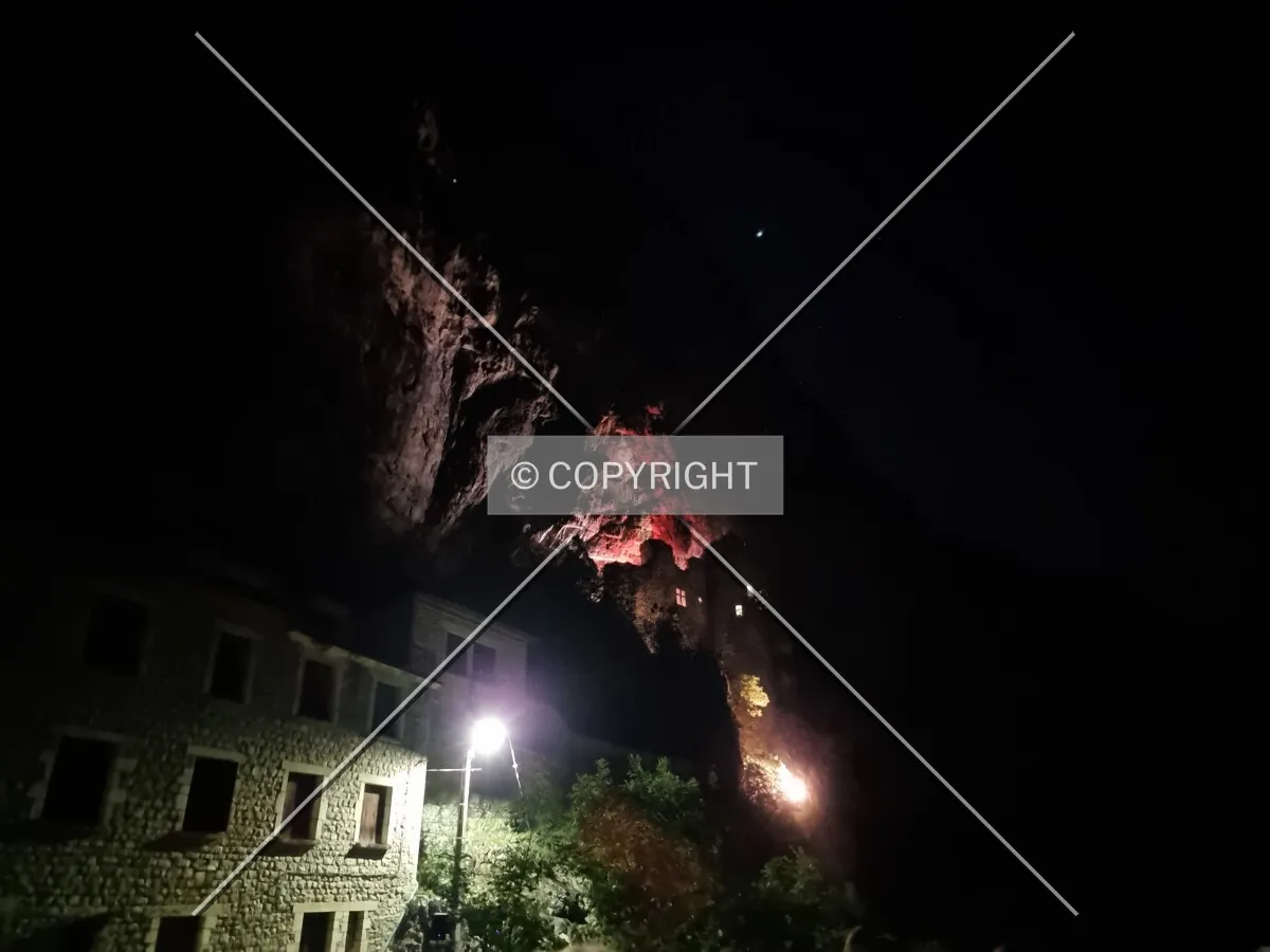 Photo 186-684-741