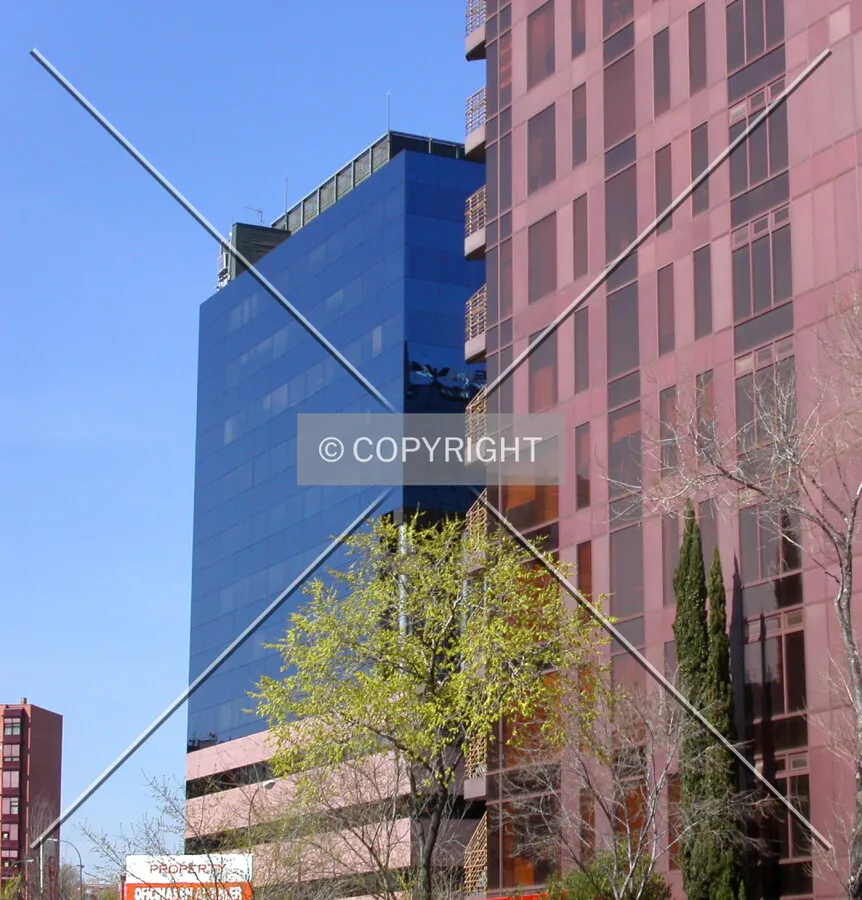 The buidling as seen from Avenida Pio XII