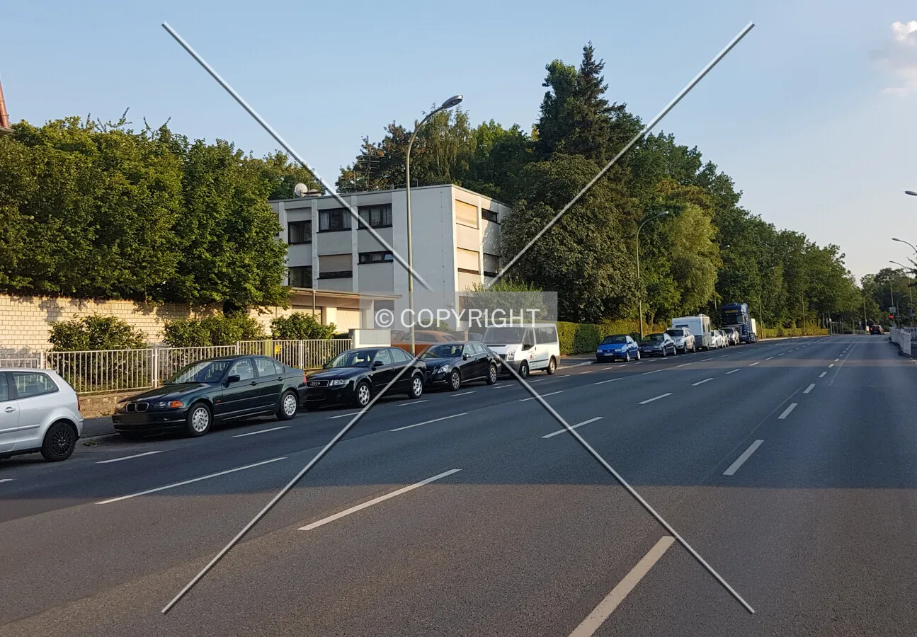 Photo 186-833-443