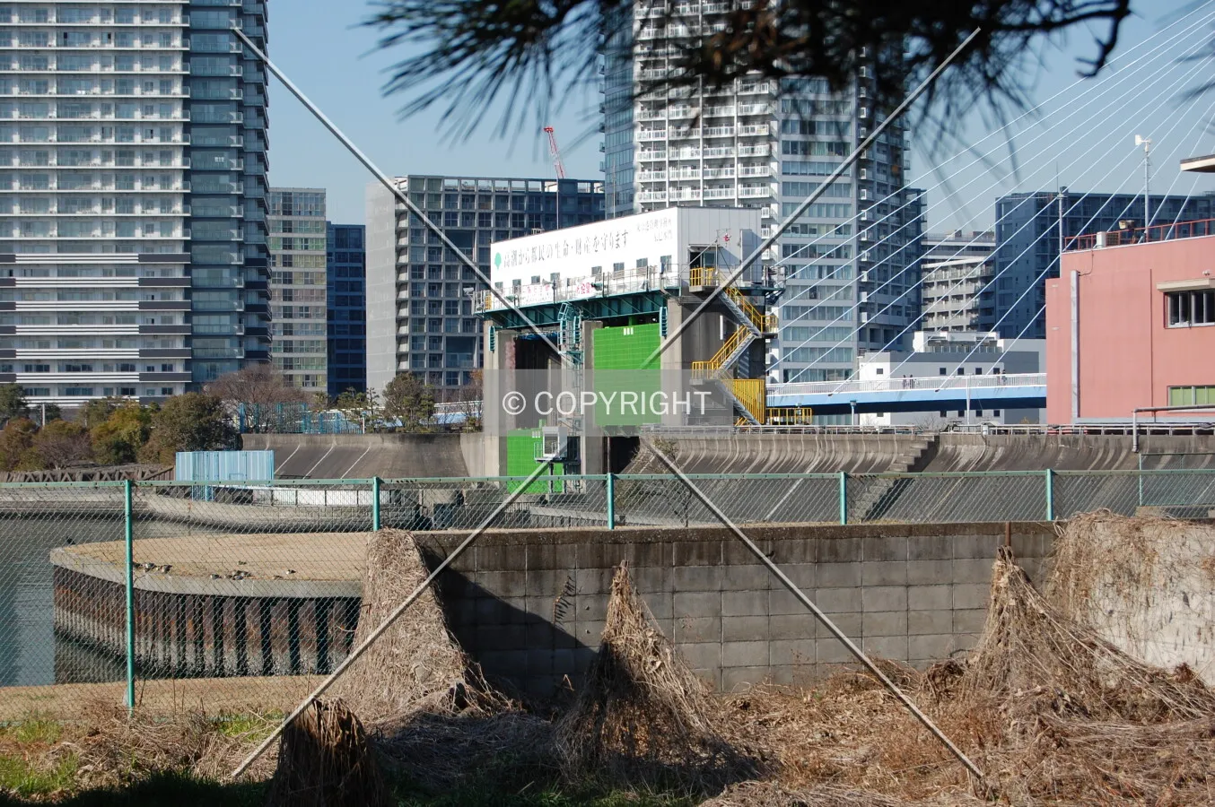 Photo 187-001-693