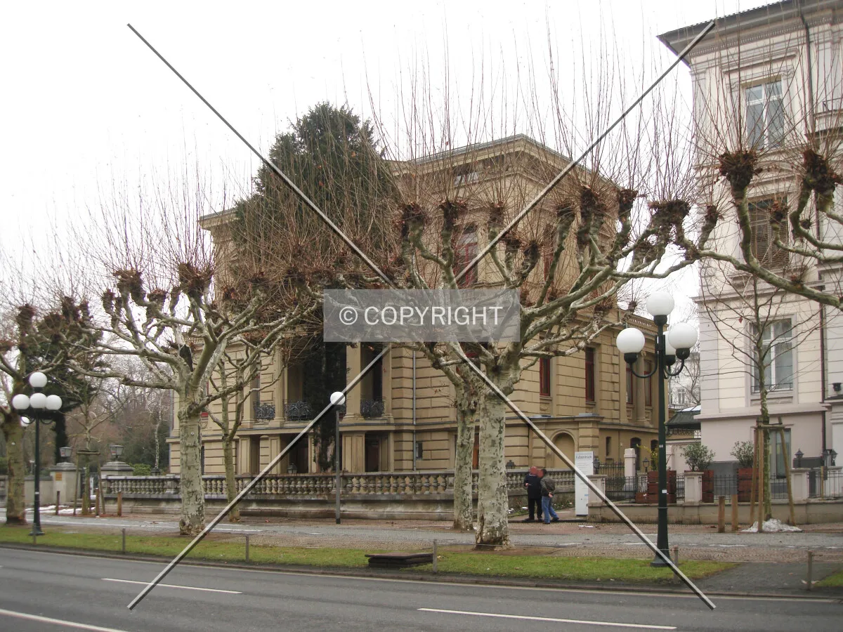 Photo 187-044-865