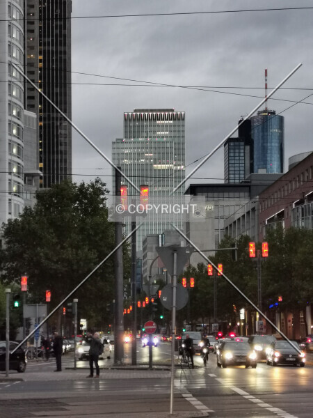 Photo 187-288-006