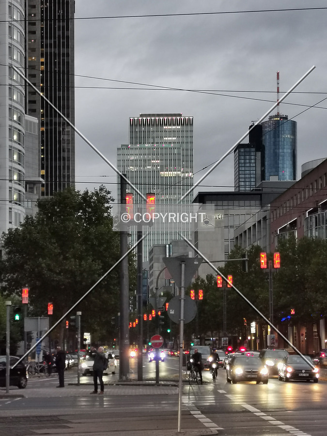 Photo 187-288-006