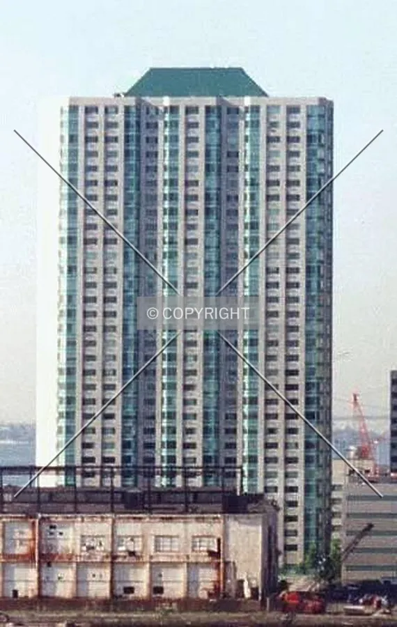 View from the north