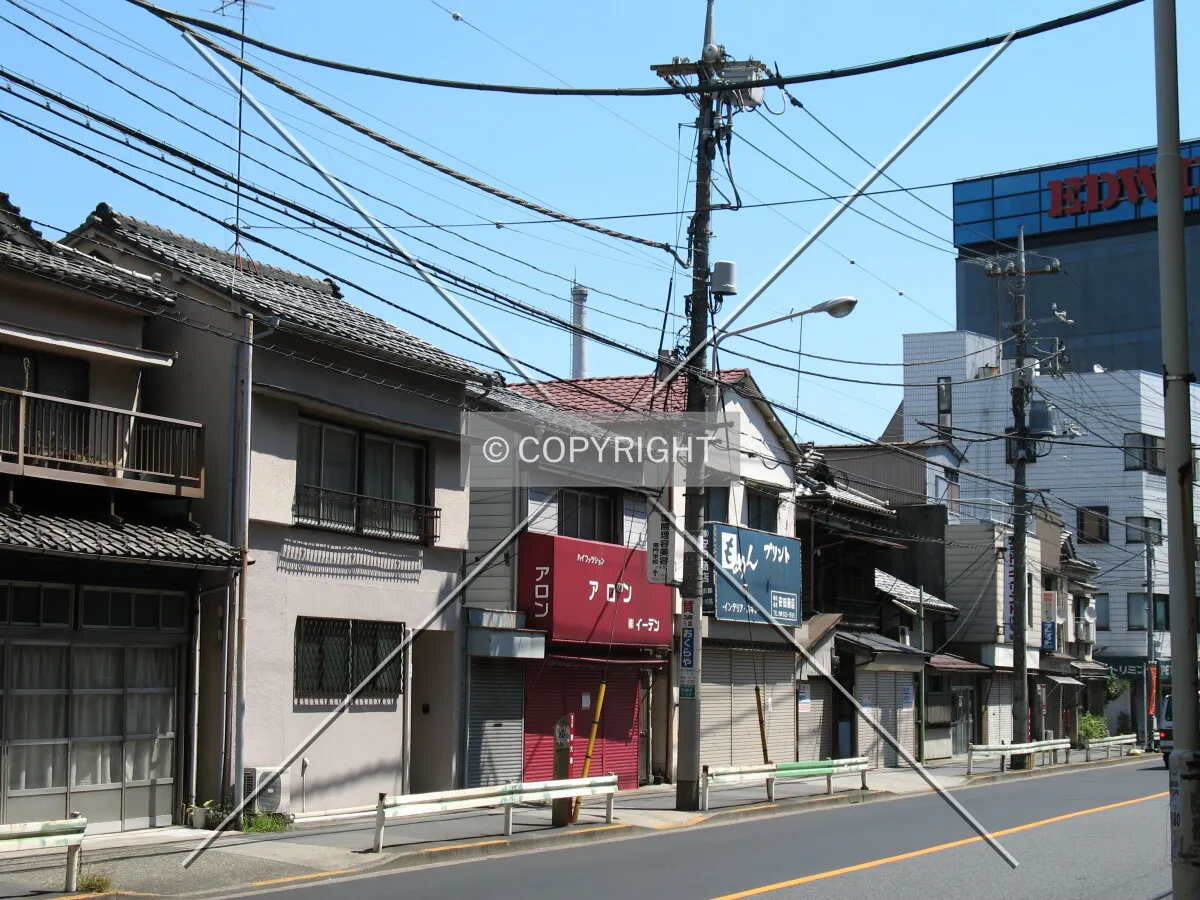 Photo 187-345-621