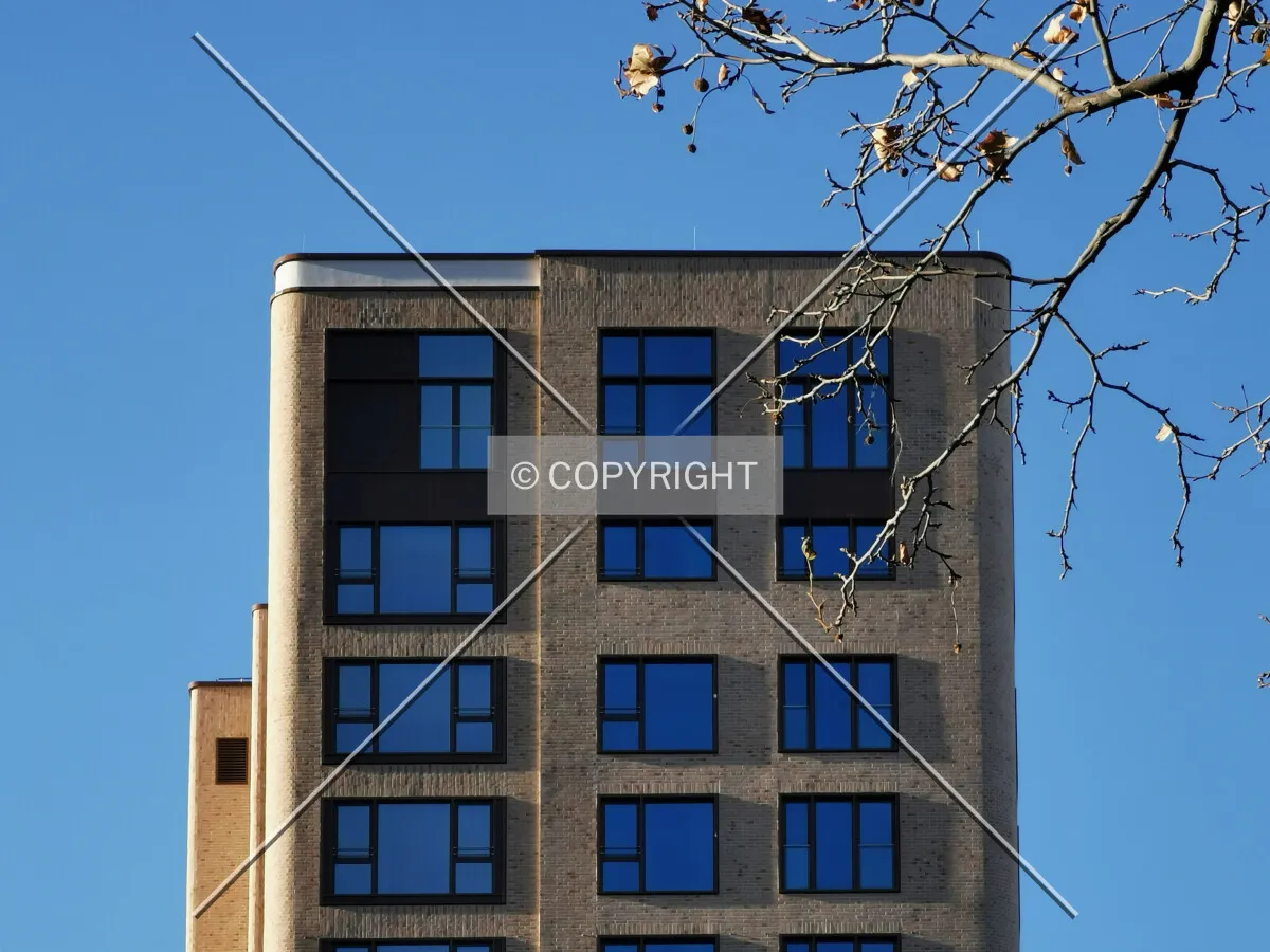 Photo 187-392-441