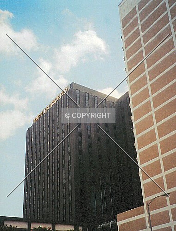 Photo 187-709-490