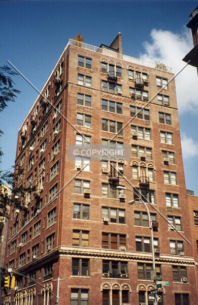 Photo 187-876-557
