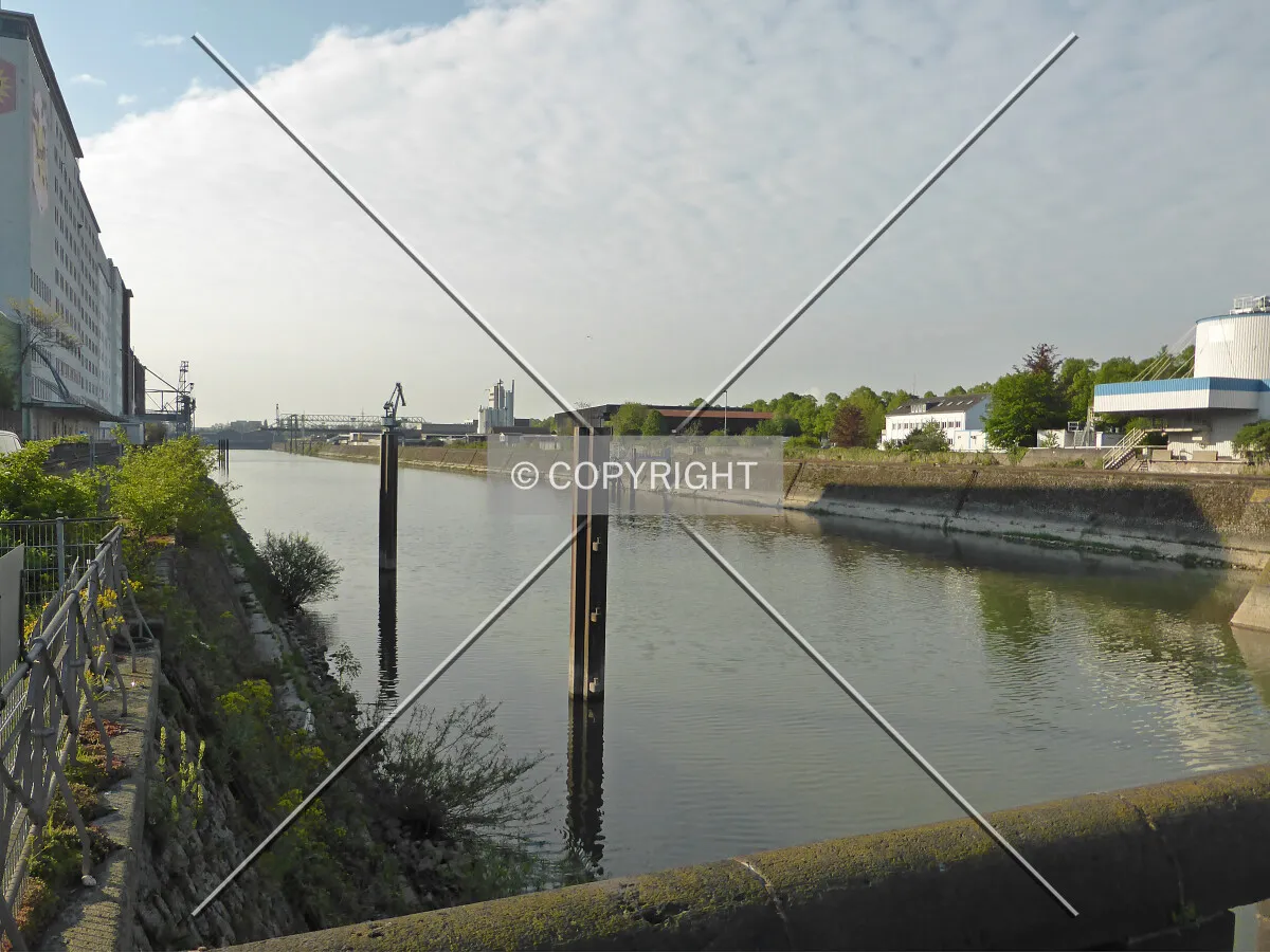Photo 188-009-774