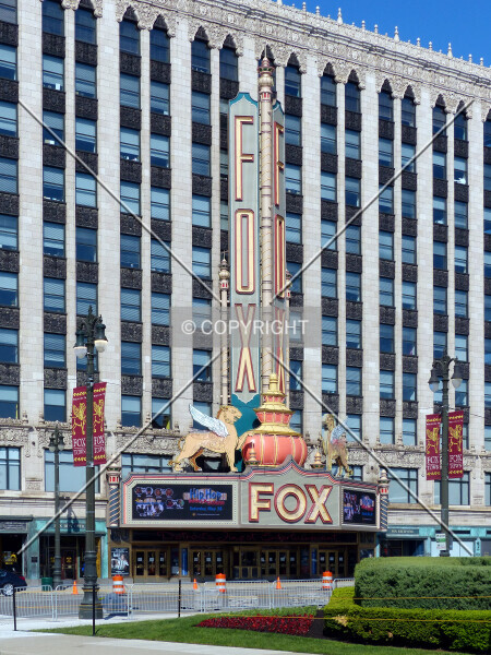 Photo 188-295-798