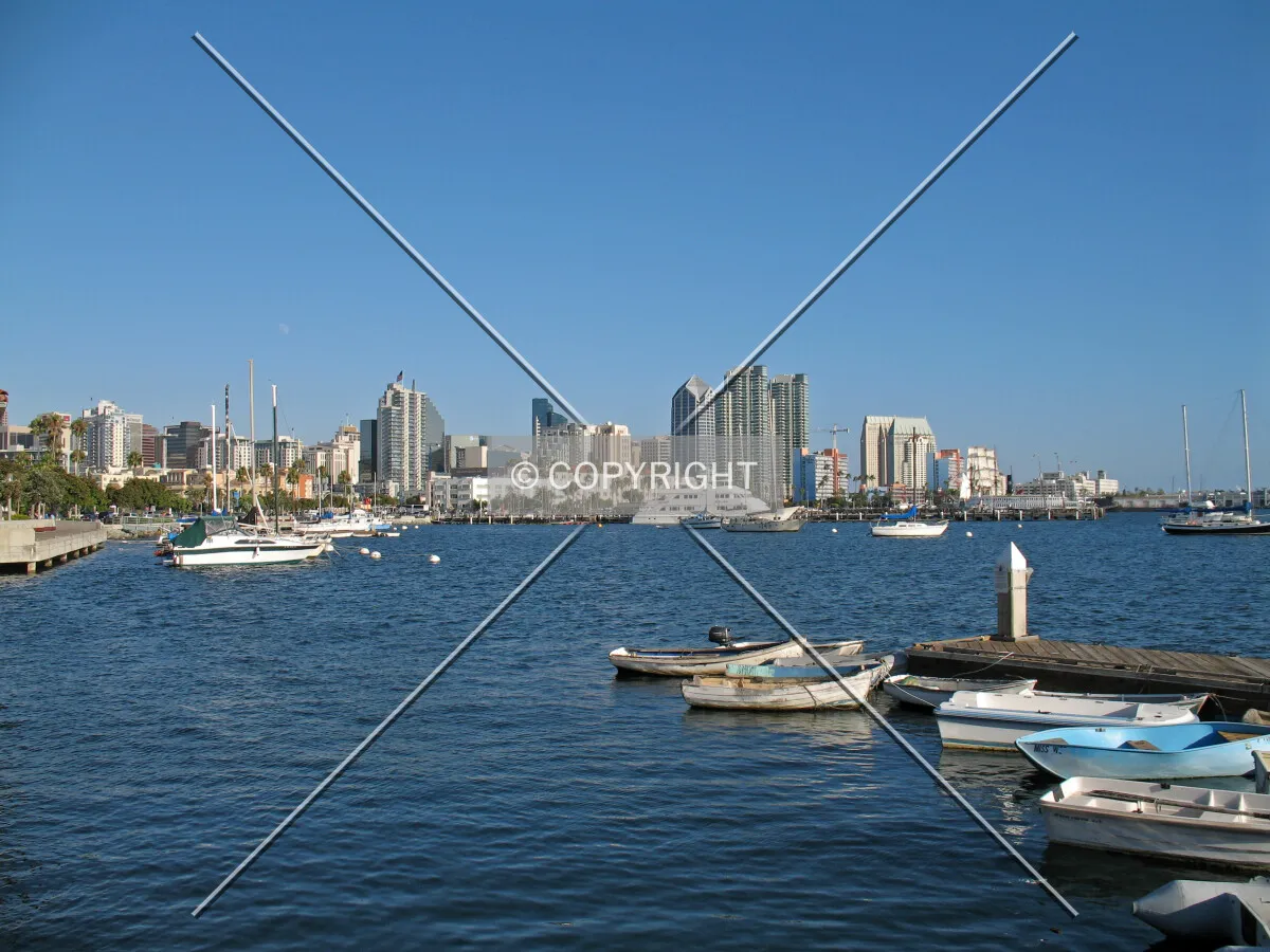 Downtown and the harbor