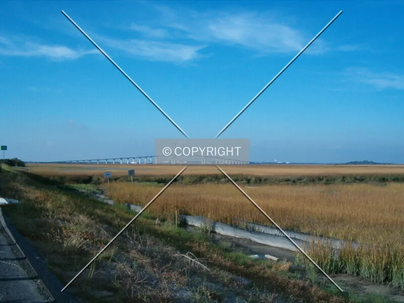 Photo 188-676-808