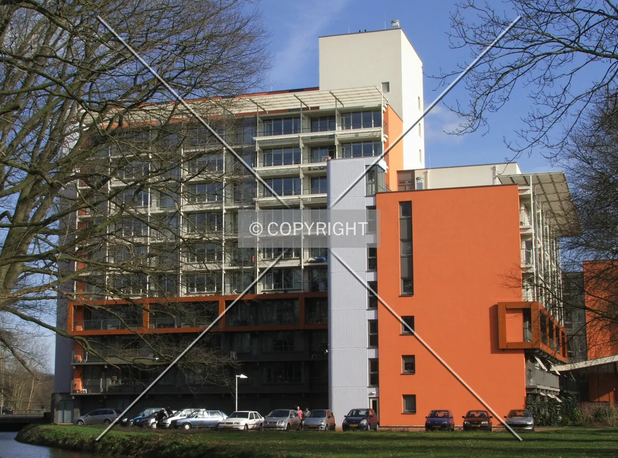 View from the west