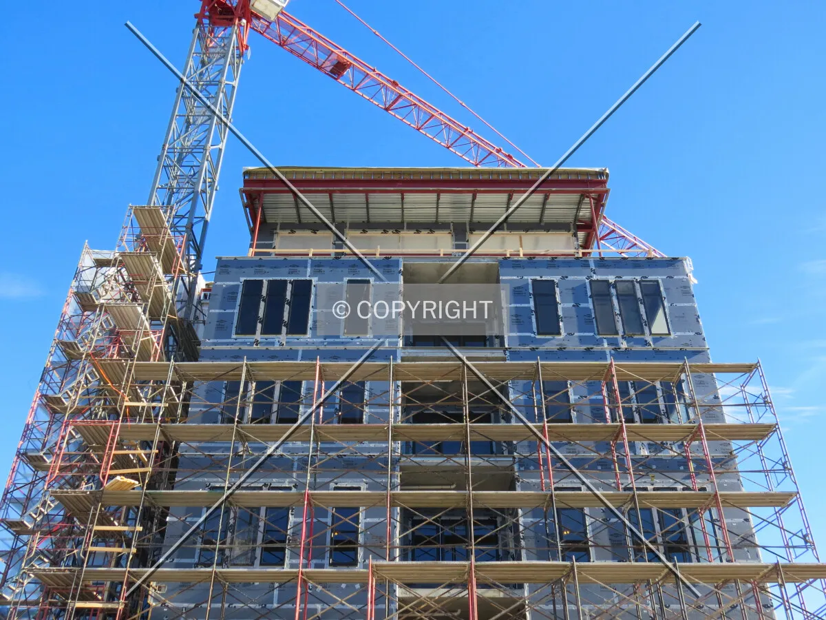 Looking up from Holmes Avenue South
