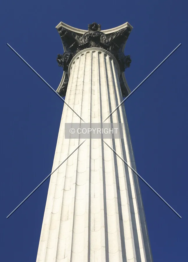Looking up the fluted column
