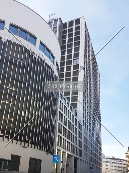 Photo 189-206-781