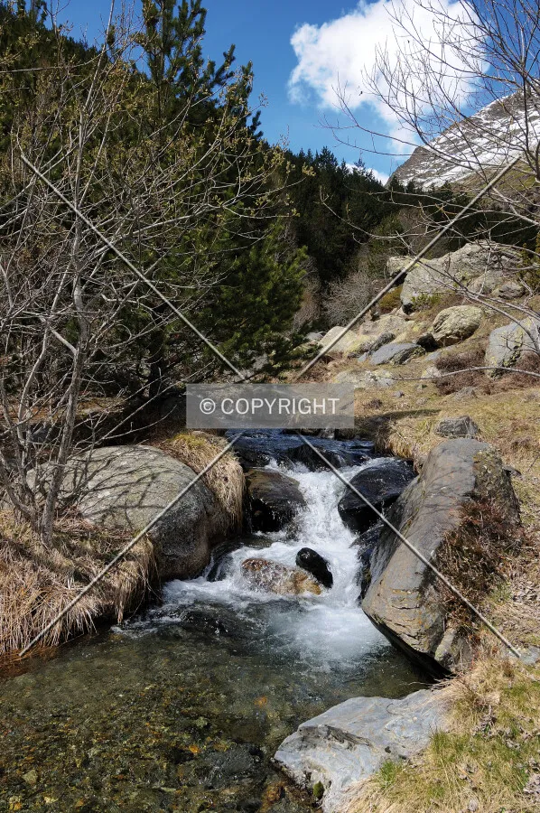 River in the Pyrenees