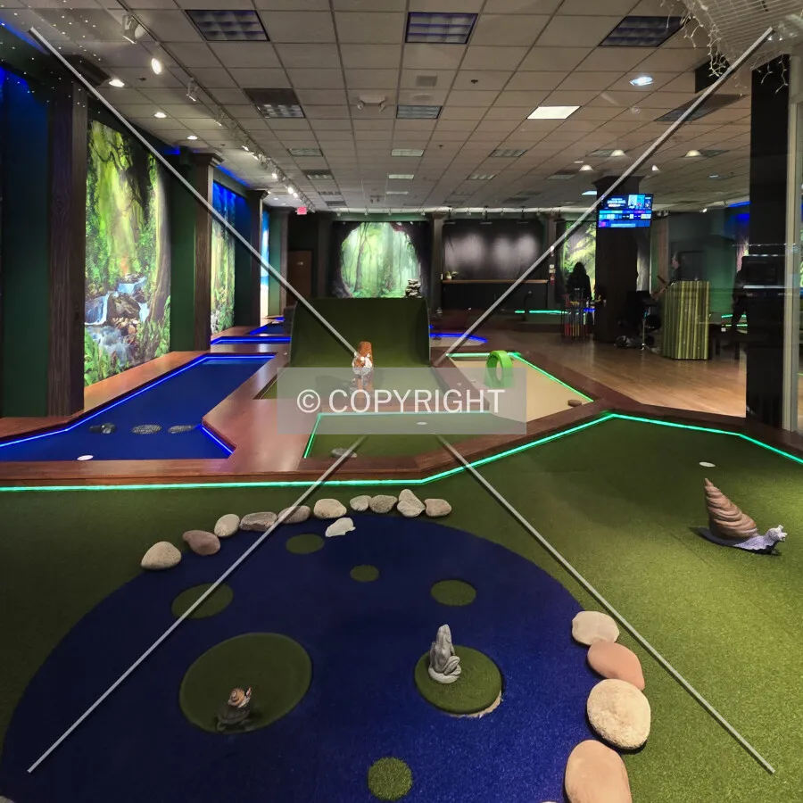 Indoor minigolf; January 3, 2025