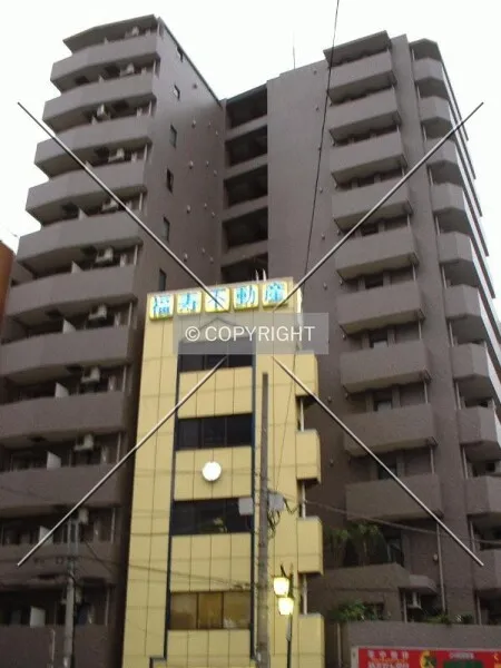 Photo 190-023-446
