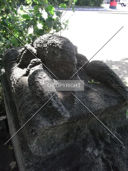 Photo 190-326-797