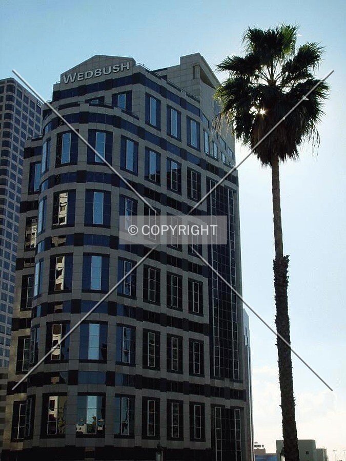 Optical illusion - the palm is not taller than 1000 Wilshire