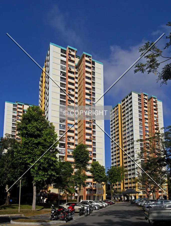 View from the southeast