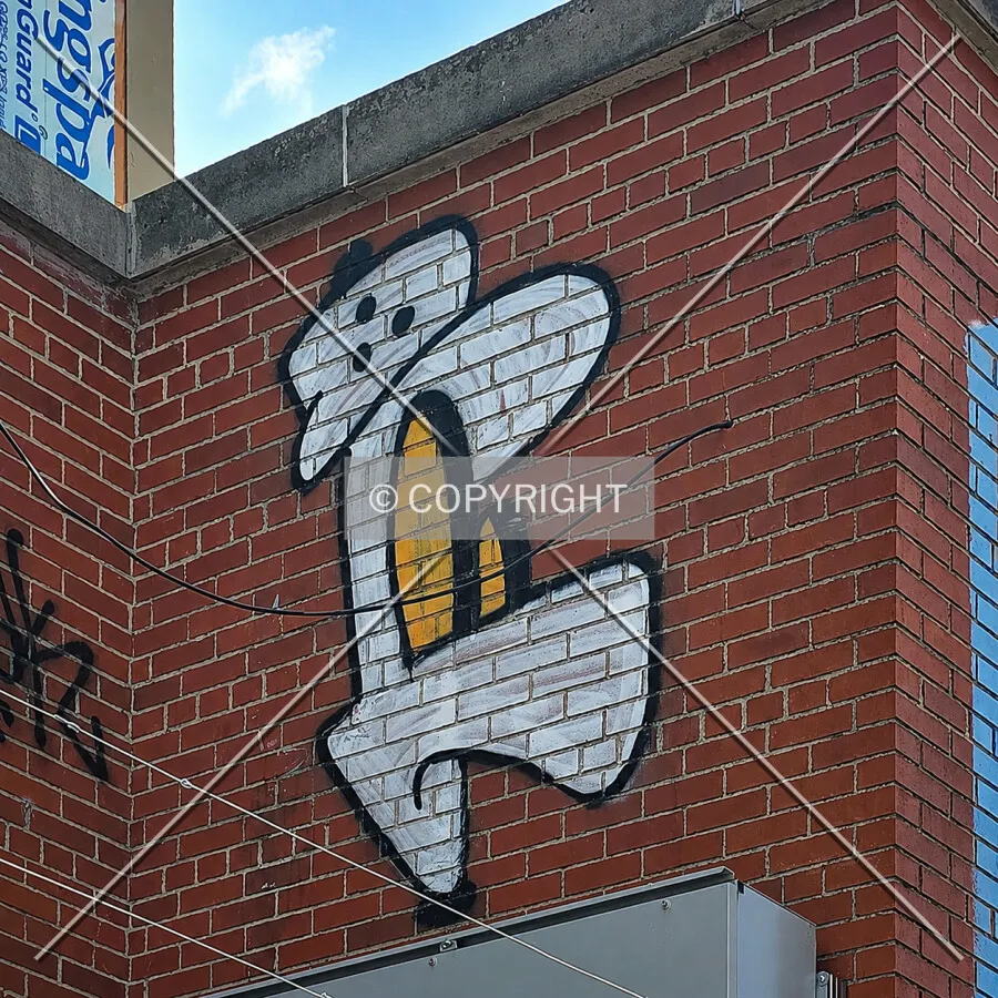 Graffiti on the north wall, Sunday, August 16, 2026