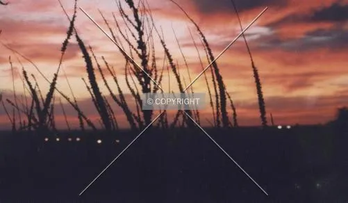 Photo 190-899-757