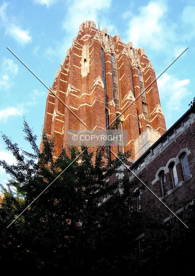 View from the southwest