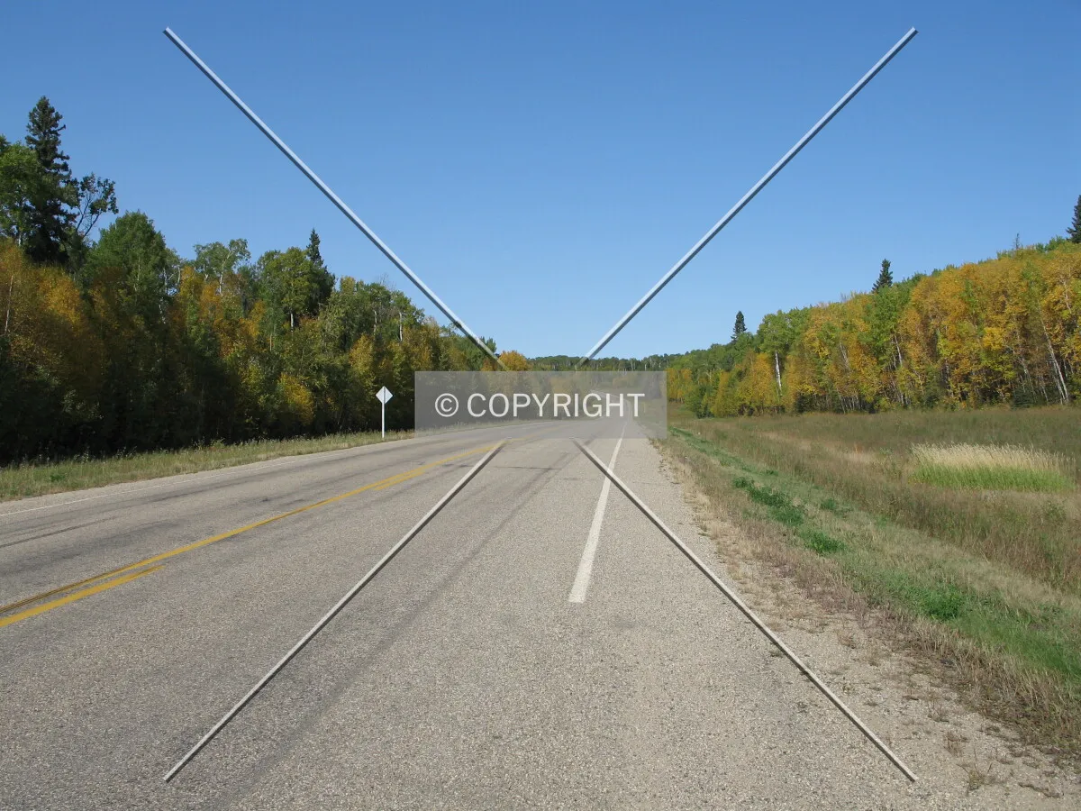 Looking north along the Saskota Flyway.