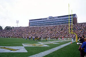 View of the field