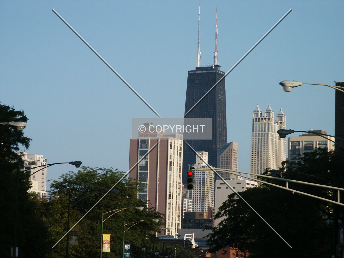 View from Lincoln Park