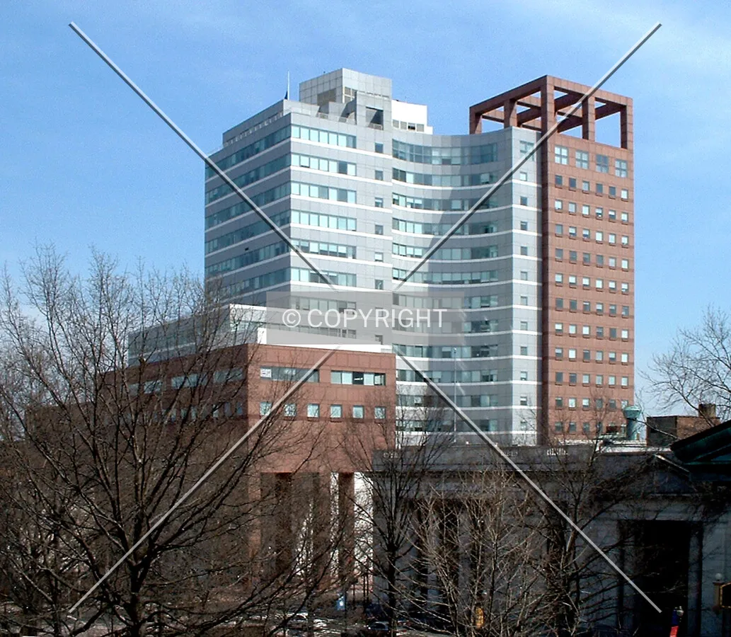 View from the northwest