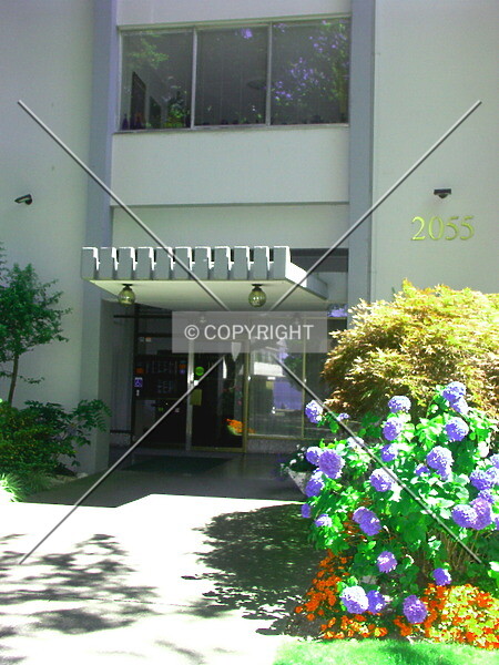 Photo 019-276-309