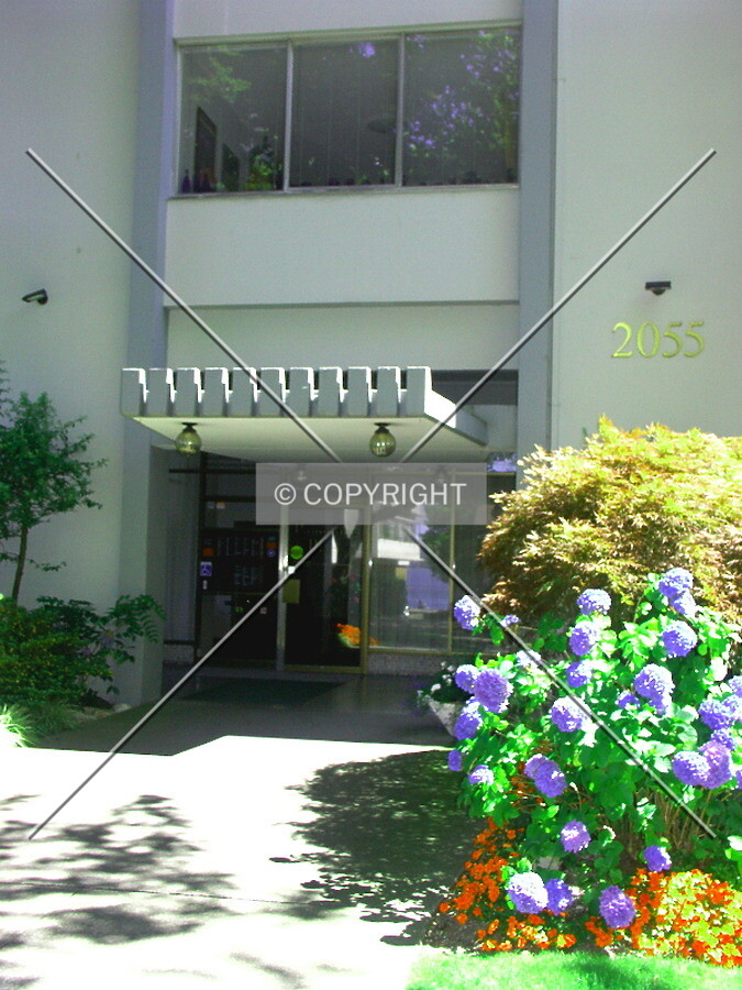 Photo 019-276-309