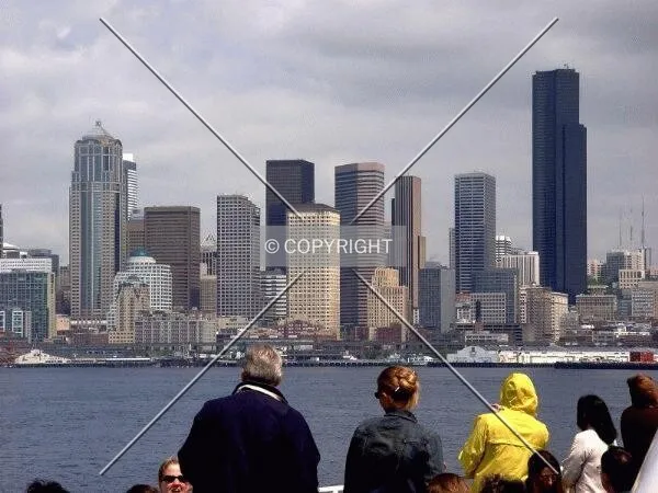 People enjoying the view