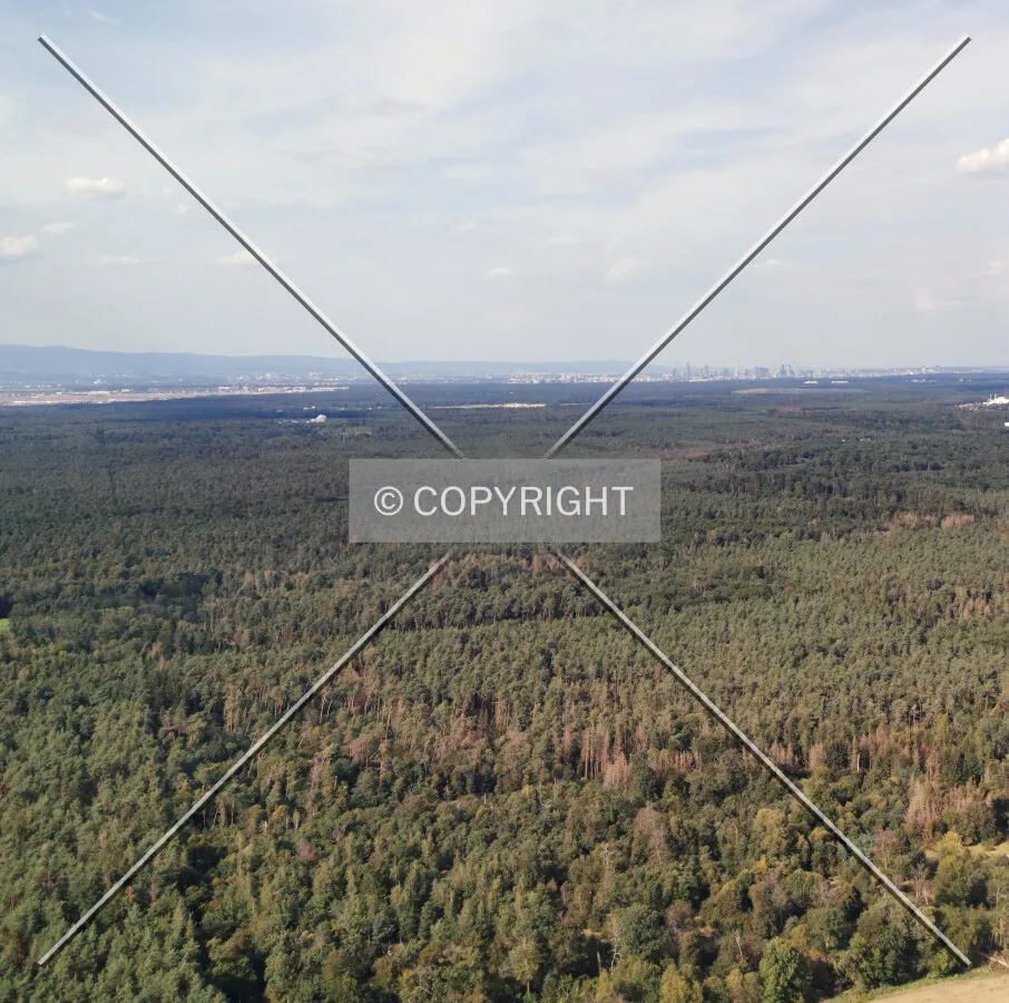 Flight with a helicopter from Egelsbach to Frankfurt