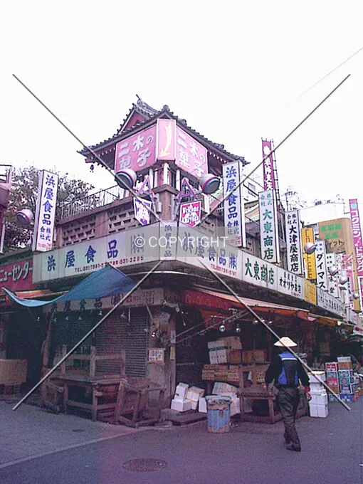 Photo 193-629-396