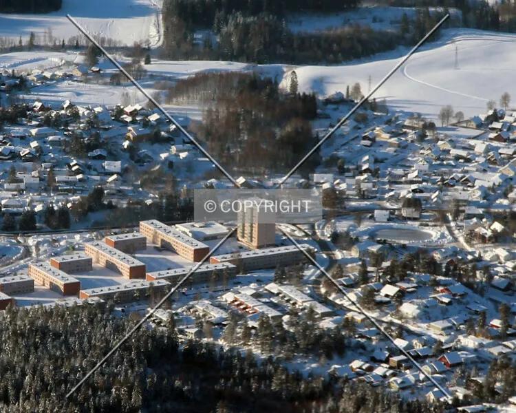 Photo 019-364-658