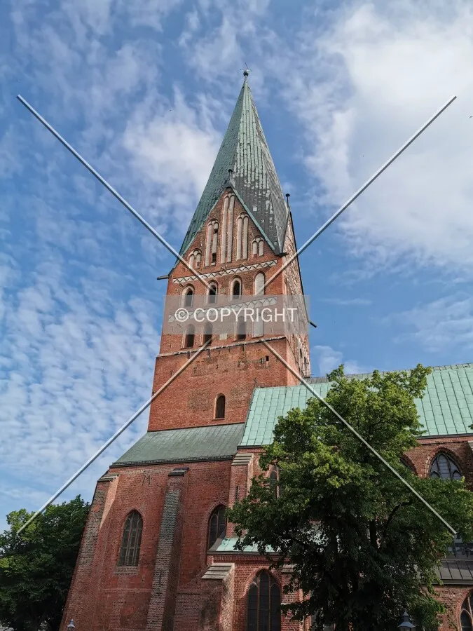 Photo 194-061-220