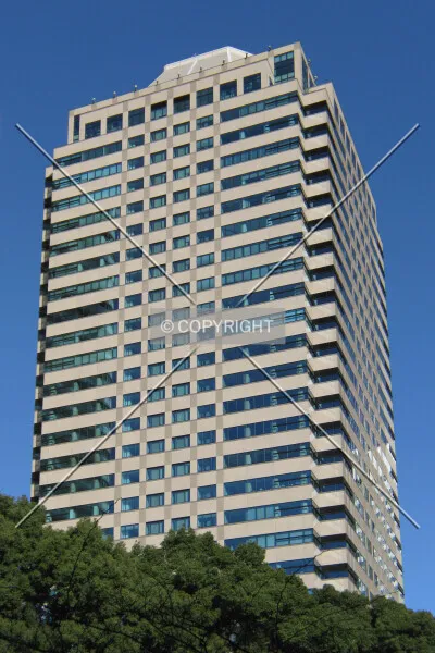 Photo 194-335-241