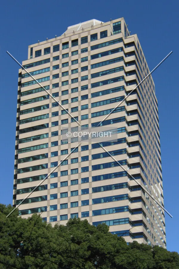 View from the southwest