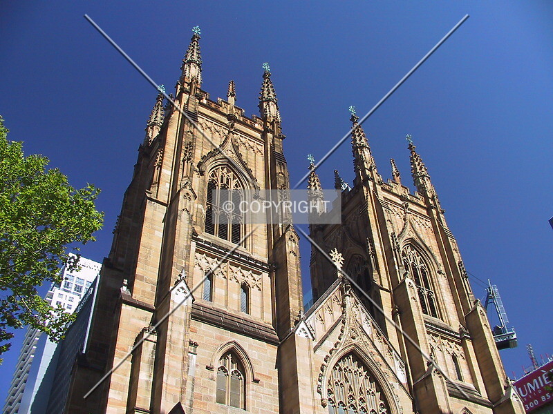 Photo 194-388-267