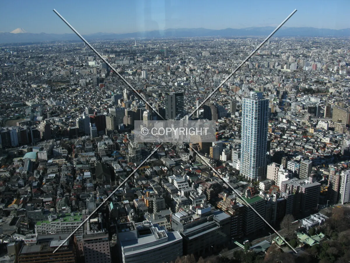 Photo 194-654-286