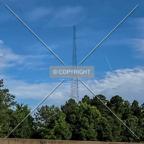 Photo 194-673-269
