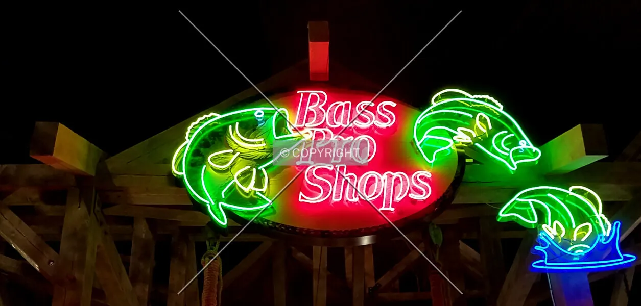 Photo 194-875-651